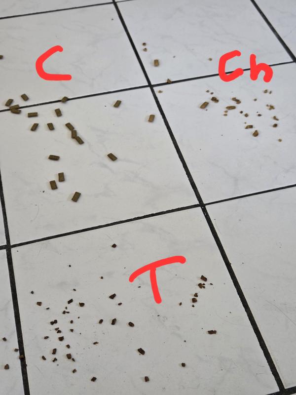 Catnip flavor not touched. The chicken and tuna flavor devoured!