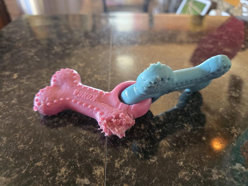 Not up to KONG standards!