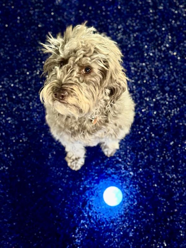 Look how bright it is!