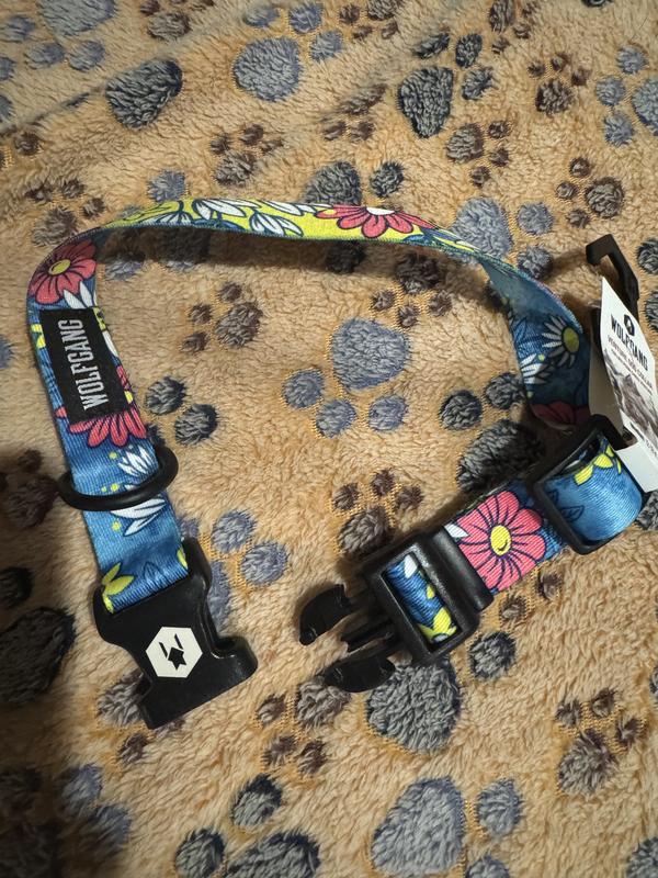 My Staffy as shown in these pictures is “styling.”  It’s super cute and it gives me a hippy and good vibes feel. It’s extremely well made. I’m prolly going to have to order ones for my other 2 pitties as they’re so cute.  I will definitely be buying again