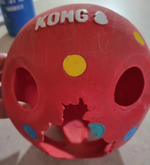 Kong ball that housed a squeaky ball