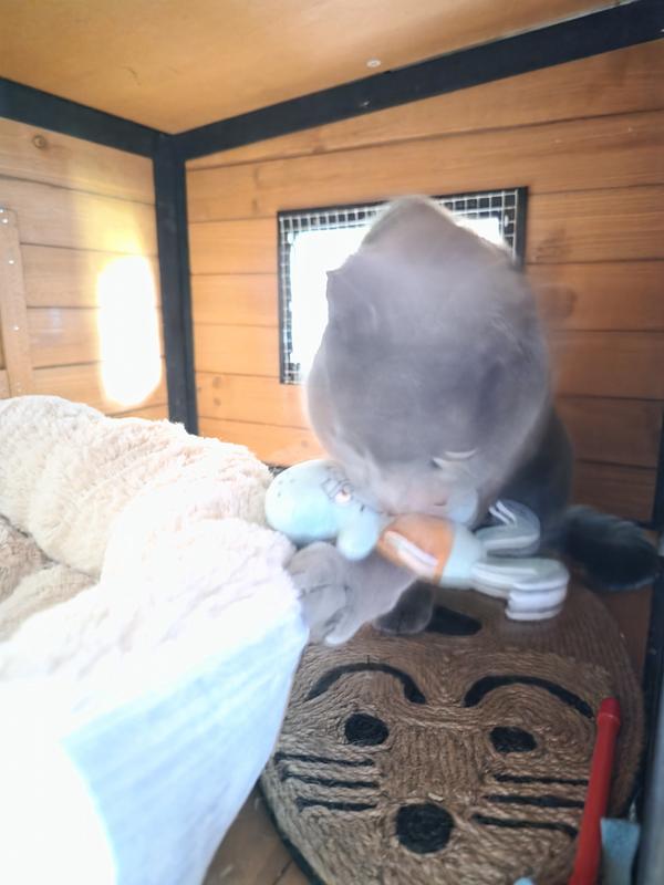 Blurry Fury!