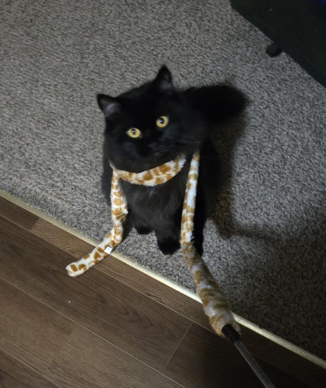 Kaz prefers to WEAR his toys over playing with them. Lol!