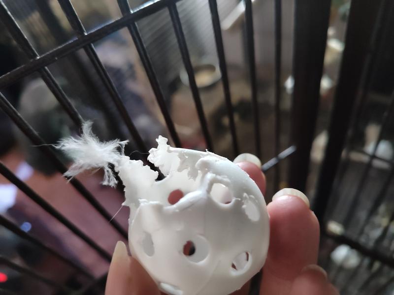 ...about two weeks later - pretty much all that's left (plus the strings)