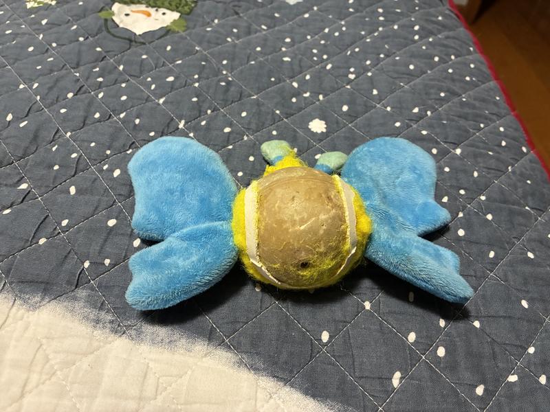 Tennis ball destroyed