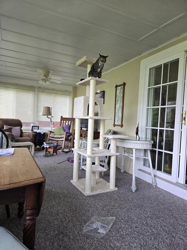 FRISCO 78-in Faux Fur Cat Tree & Condo, Cream - Chewy.com