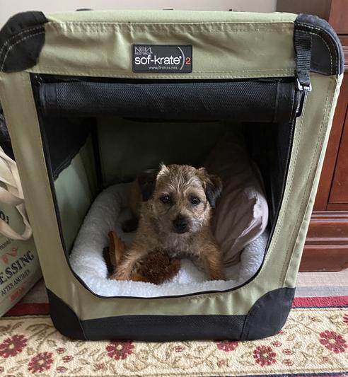 Noztonoz soft outlet dog crate