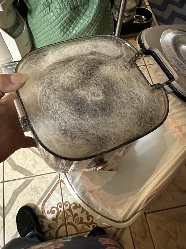 Lots of hair brushed/vacuumed off.