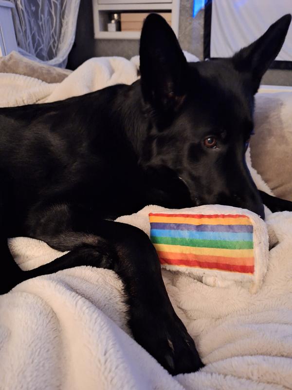 His favorite birthday toy