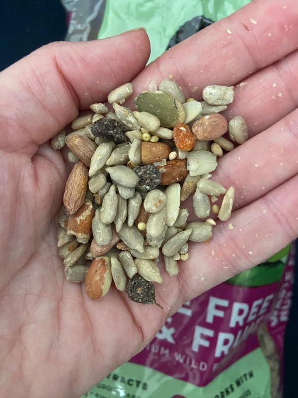Bird food