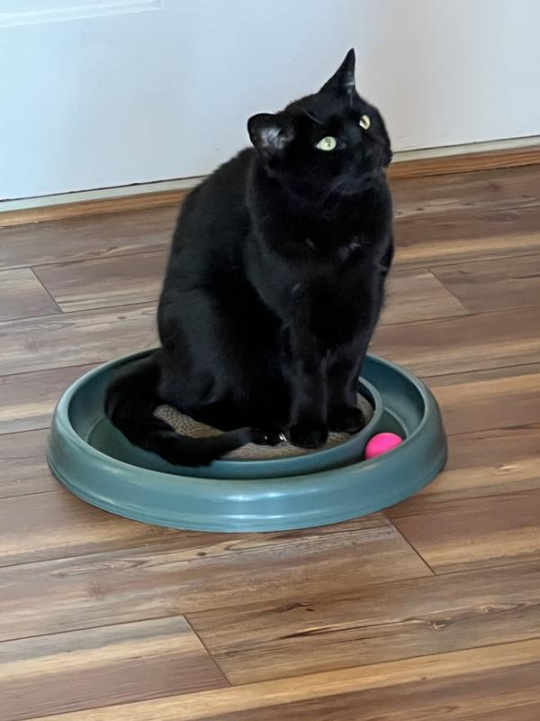Ted’s best friend (besides me) is his scratcher