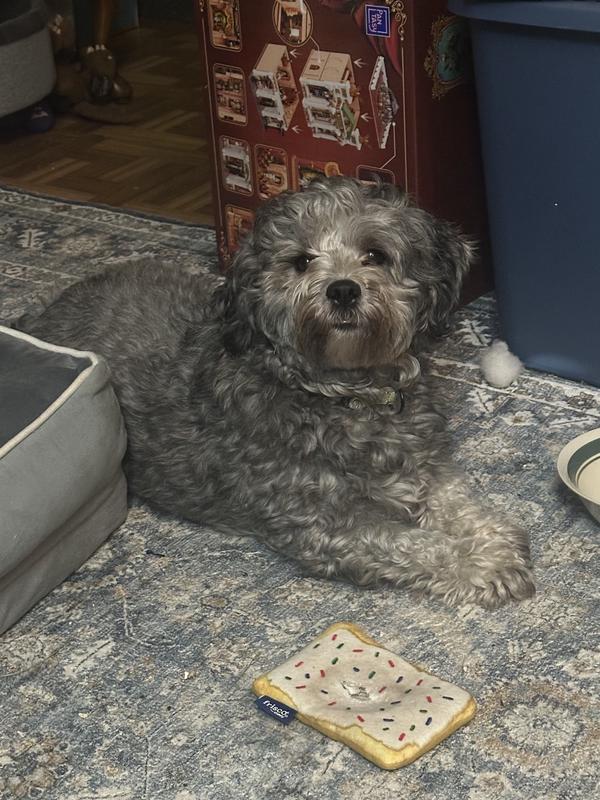 She loves her Purina dog food!