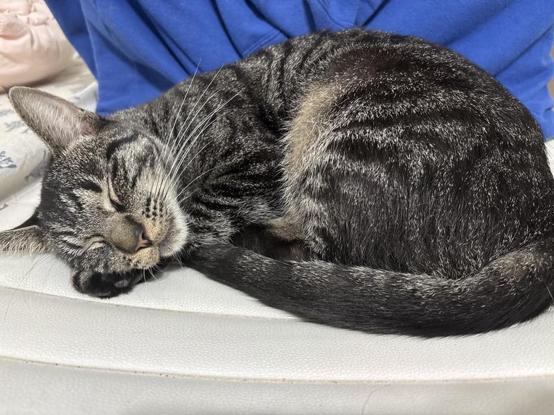 Sleeping like a baby 5 hours after taking the pill