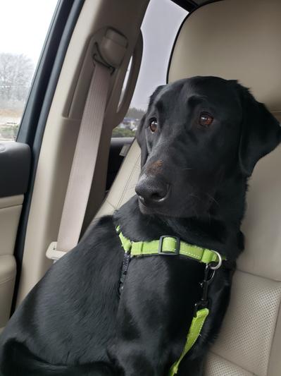 My handsome boy