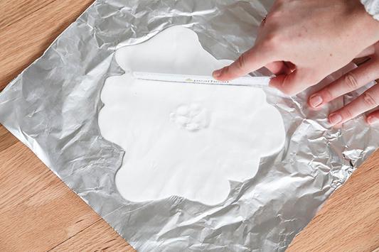 Pearhead Pawprints Dog & Cat Wall Frame and Impression Kit