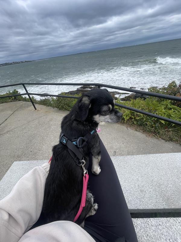 A good look at the adjustable straps