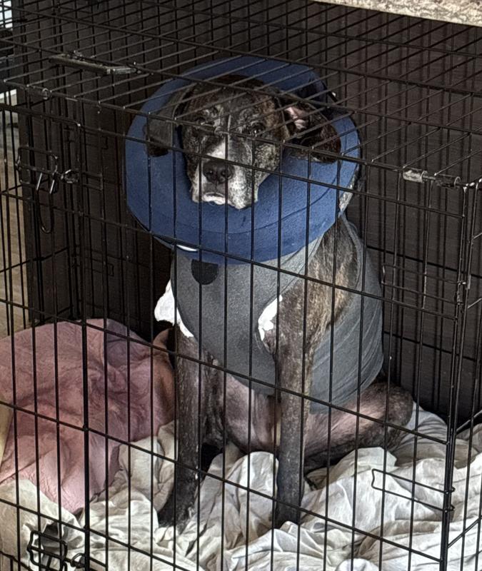 Valek-Jan Slade’s chest wound