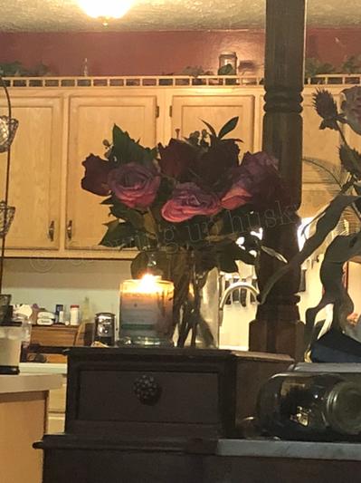 Very relaxing after a busy day with the dogs