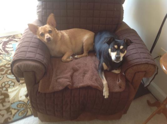 Just relaxing in our recliner