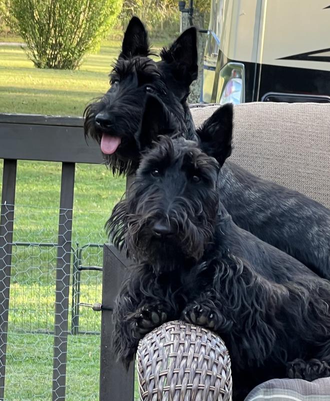 Love my Charlie Bear!!