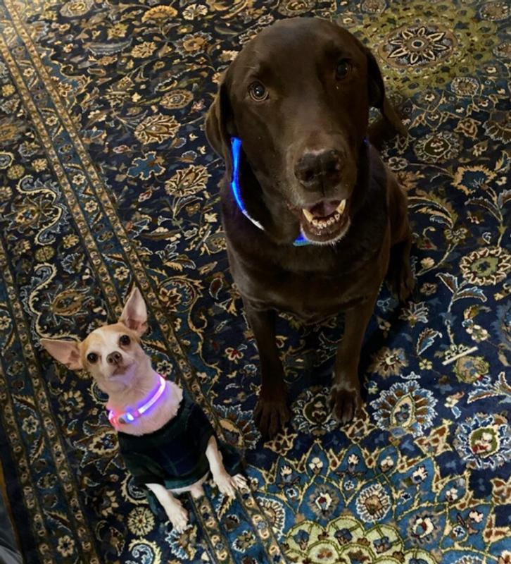 We're ready for our bones