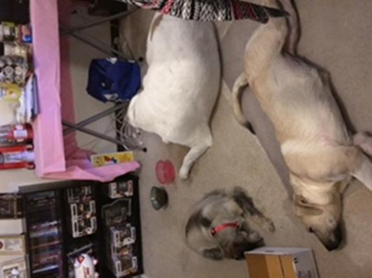 Nap Time While mama works
