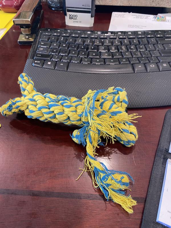 less than an hour of chewing/pulling at strings with puppy teeth