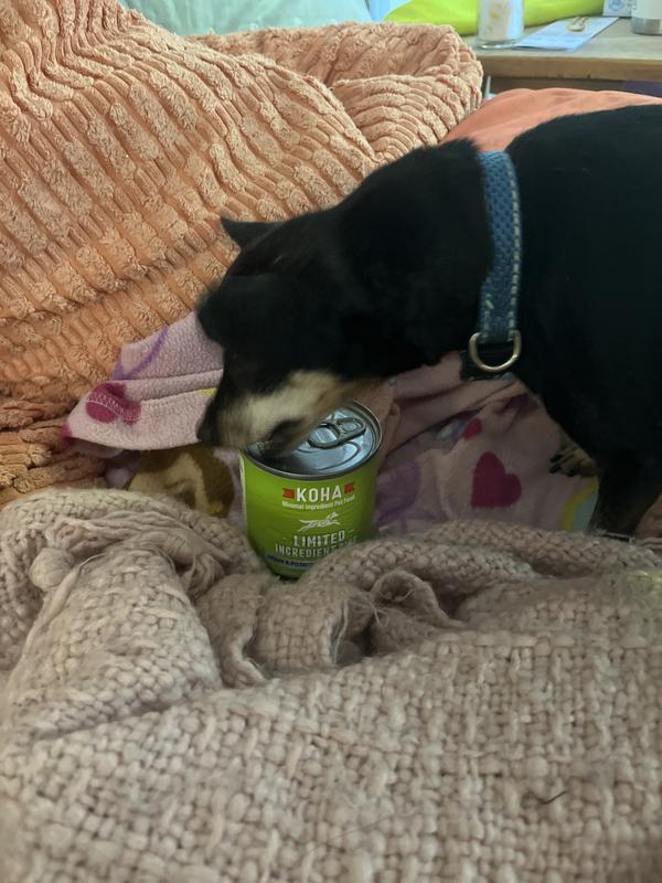 Pip says “open the can”