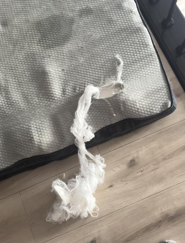 The worst quality! The bed looks like this after a week of the fabric cover and the memory foam