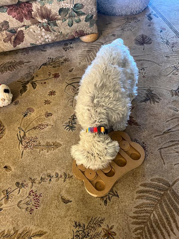 SPOT by Ethical Products Interactive Seek-A-Treat Flip 'N' Slide Dog Toy  Puzzle | Dog Treat Reward Toy Connector Puzzle Improves Your Dog's IQ 