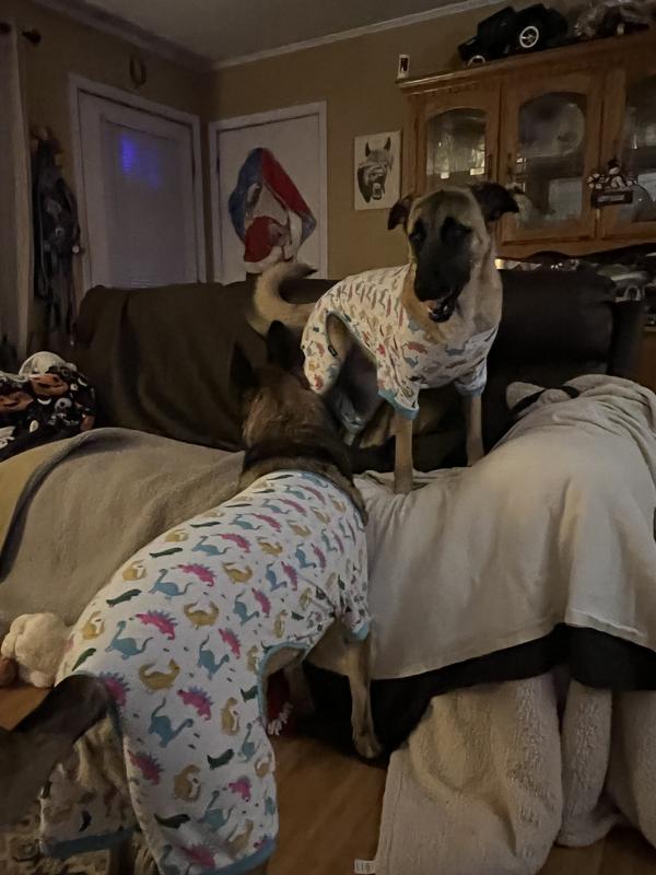 2 of the 4 crazy ones! SMH