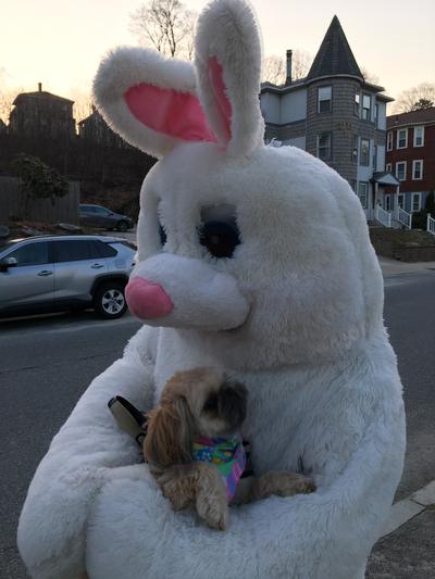 Noah meets the Easter Bunny on City Streets!