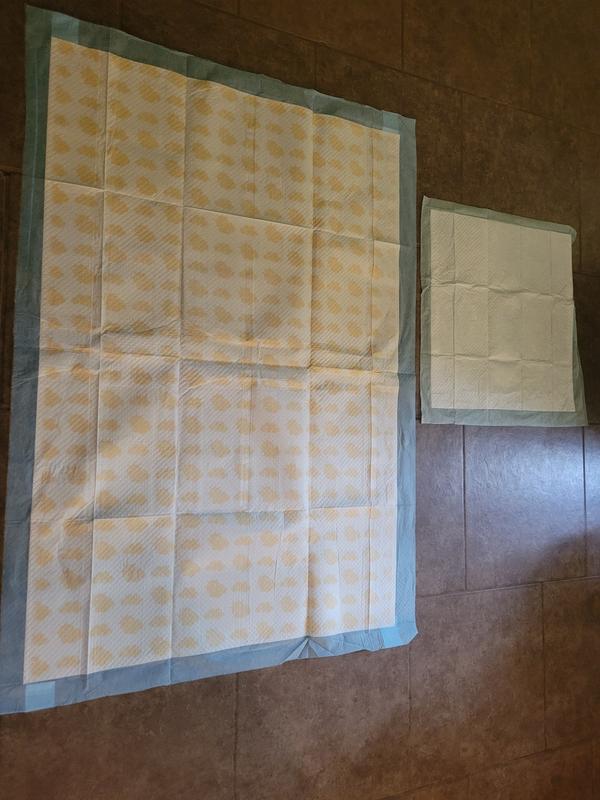 They are much bigger than your standard sized pad