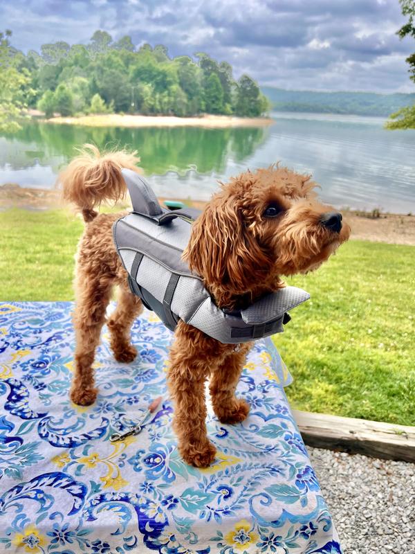 Shark dog hotsell life vest