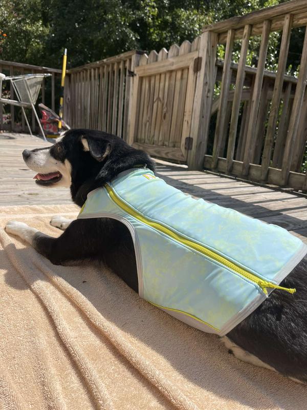 RUFFWEAR Swamp Cooler Zip Dog Vest, Blue Mist, X-Small - Chewy.com