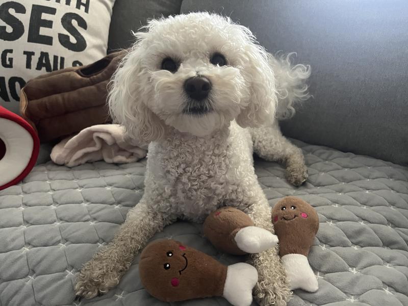 Don’t touch my zippy paws