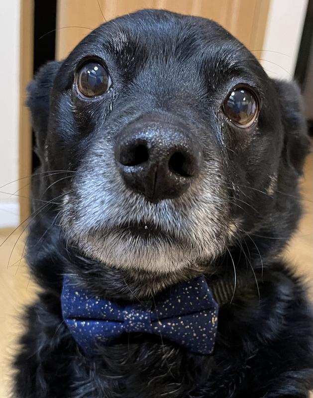 The cutest New Year Boy ever