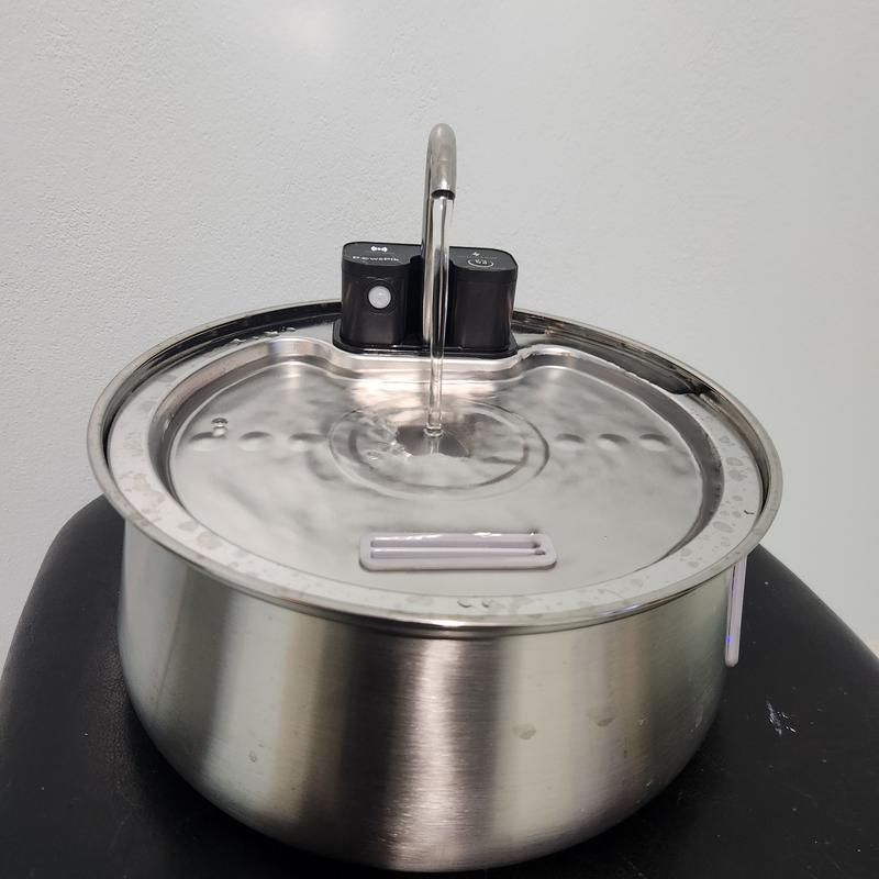 Photo of the fountain running using the motion sensor