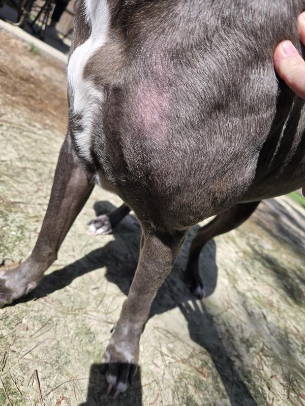 Dry skin rash prior to conditioner spray