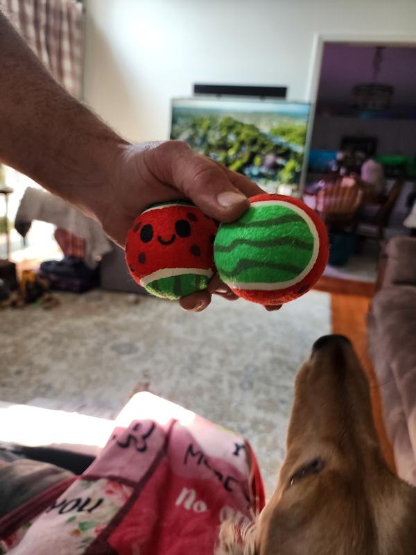 Bunz nose can be seen as he was bouncing on my leg trying to get the balls as they were removed from their package.