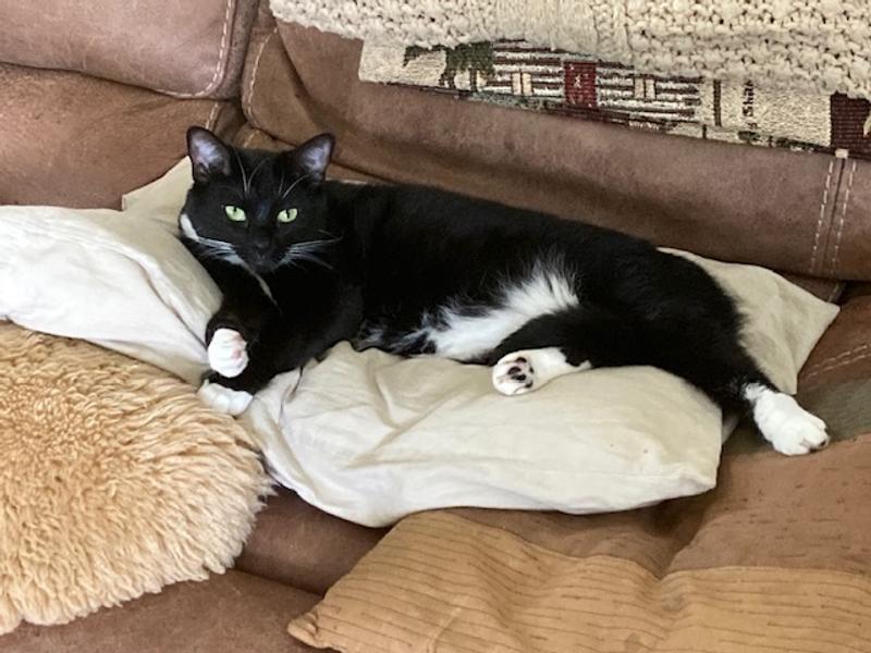 Resting after his bath!