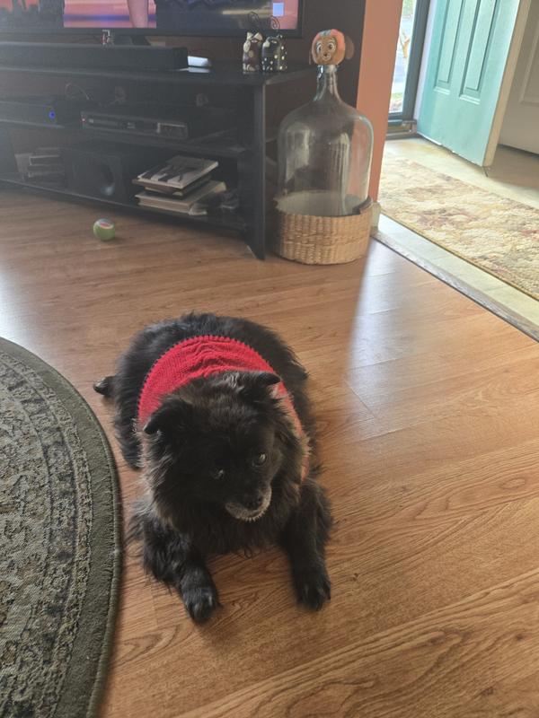 My name is c o a l and I love my new food Pro Plan so does Mommy