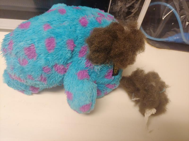 Do not let your doggies chock