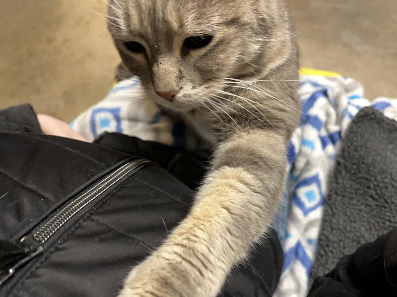 Scratching for more