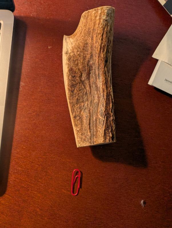 Paperclip for size comparison