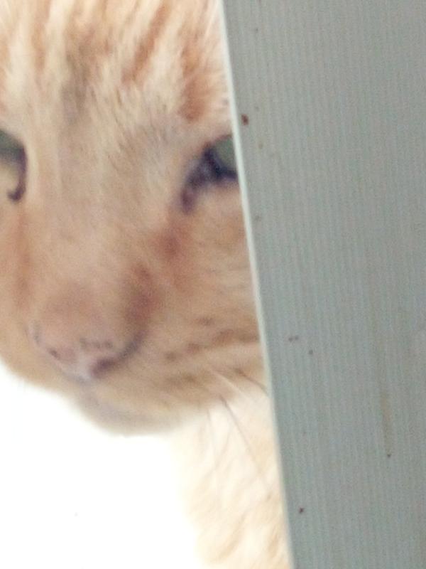 Jimmy