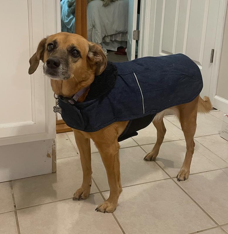 so cute, Medium fit perfectly!