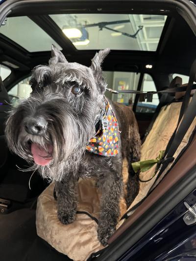 Bunched up after first 10 min trip