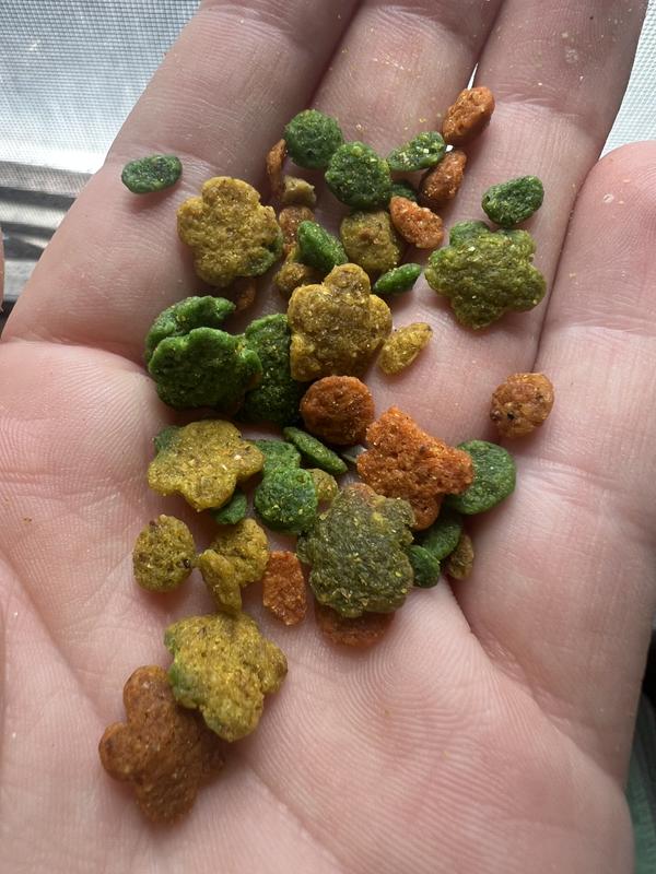 Versele-Laga NutriBird G14 Tropical Conure & Cockatiel Food