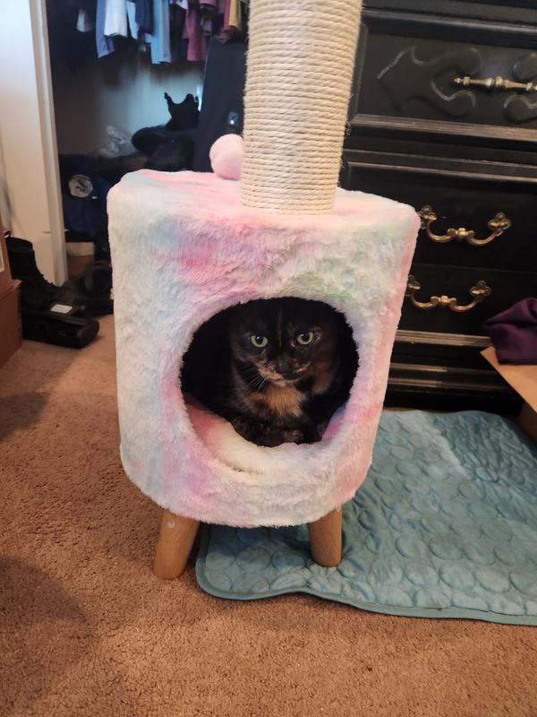 She loves it.